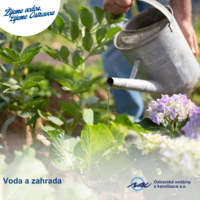 Zaléváte chytře? Voda na zahradě nemusí téct jen z kohoutku! 