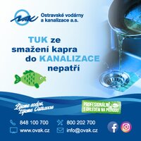 Blíží se Vánoce a s nimi smažení kapra! Blíží se Vánoce a s nimi smažení kapra!